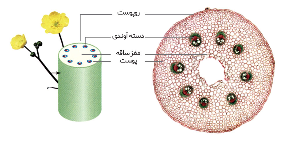bf7c2f5e-20d6-418a-9a12-b26772a3e36c-image.png