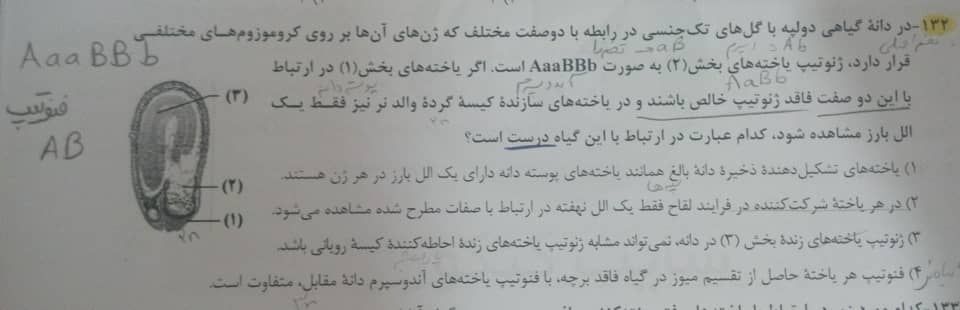 قلم چی 2.jpeg