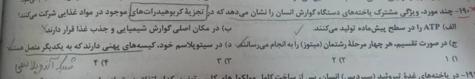 گوارش.jpeg