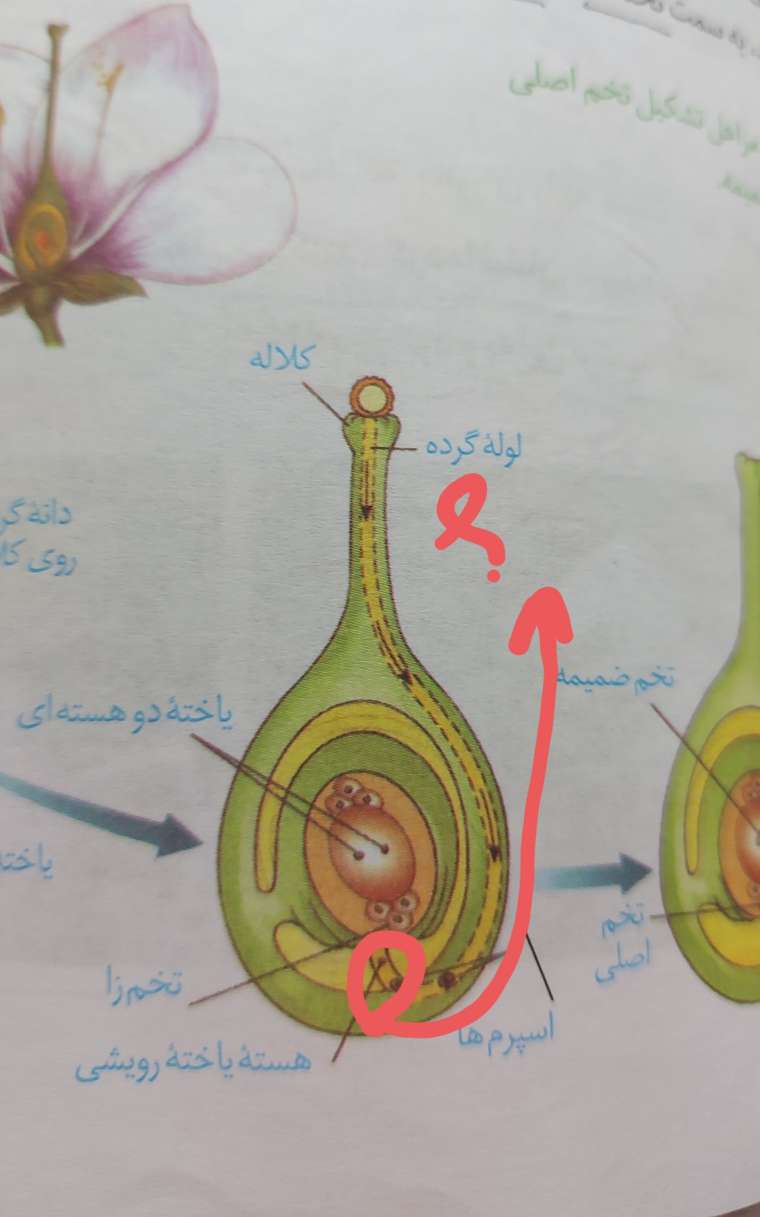 ۲۰۲۱۰۶۱۹_۱۰۳۴۵۳.jpg