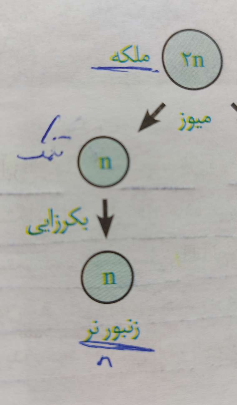 ۲۰۲۱۰۶۲۰_۱۰۱۸۳۹.jpg