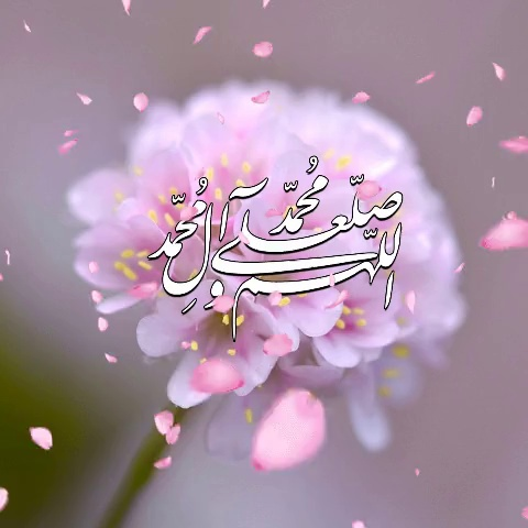 2c7e6485-a5cf-47aa-8b82-68493c3348a2-image.png