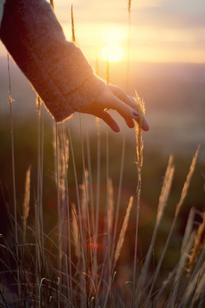 Light_-hand_-touch_-and-sunset_-by-Nacho-Zàitsev-_-500px.png