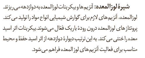 00c42d91-56f9-4b95-92e6-e510baf3da9e-image.png