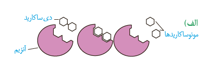e619d7e8-4d98-4d0b-bab9-c0b41d2fae50-image.png