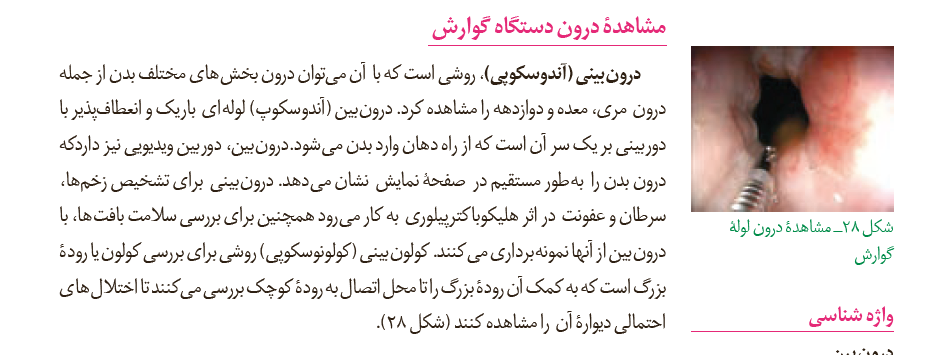 3cec6a5b-a19b-469d-9fb8-6898cc3773c4-image.png