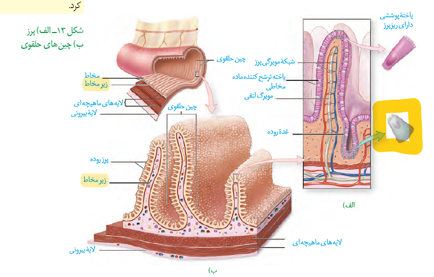 2803d9be-efe7-487b-b4d0-aa4ff7147139-image.png