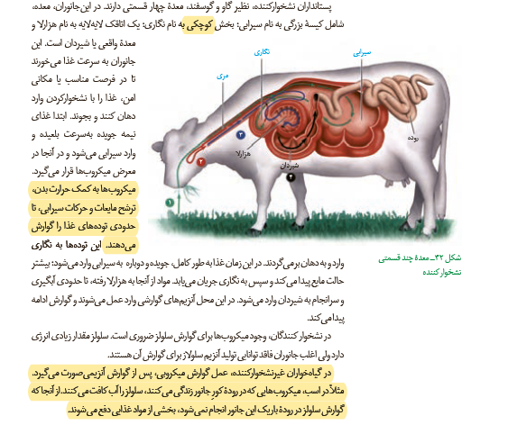 7e4ef9cc-a641-4a56-998e-da5fed2b2829-image.png