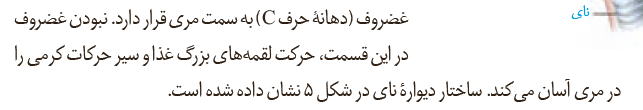 3f88e4e2-9efc-46f3-9cf8-3380a1ed0dea-image.png