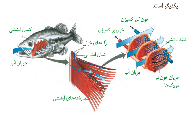 ce1ab3f4-aae2-4c15-a1c8-837a4d71edf6-image.png