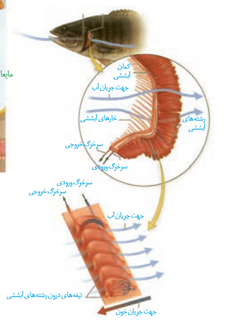 bb0ce09a-7224-4e22-bded-a4c2cc09d70e-image.png