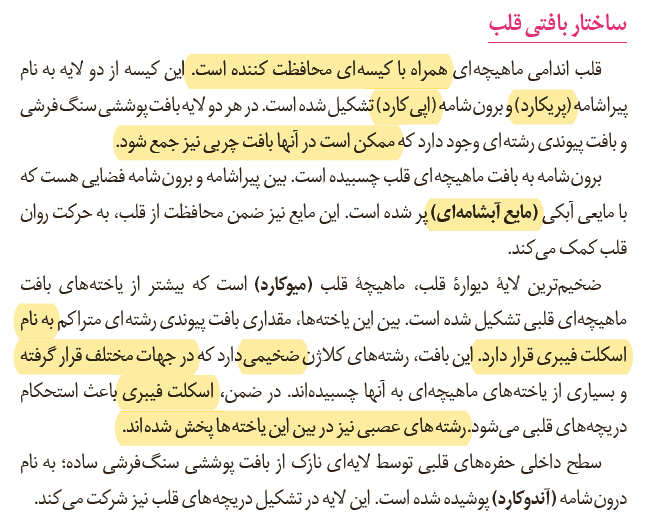 f453f5e6-48f8-42b6-b69a-07b6faebf552-image.png