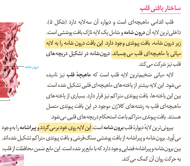 61de7aa4-73d6-403a-9fad-975b6df13b1f-image.png
