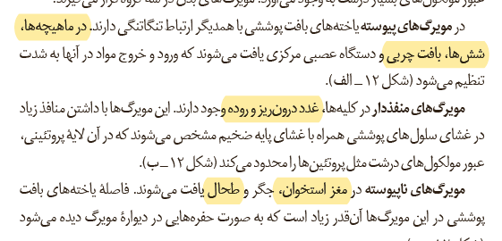2f3b646e-85d5-4d36-aa30-41bfdcd38f88-image.png