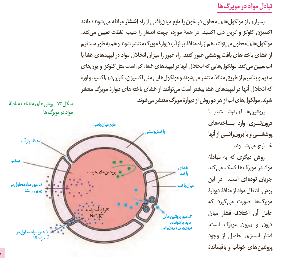 bf0d31b4-1538-4024-b247-b2cc1749e74c-image.png