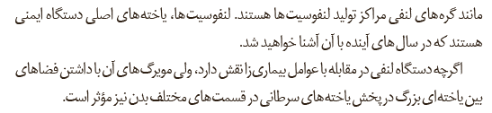 6ca04b85-af22-49aa-be5f-ca180751db67-image.png