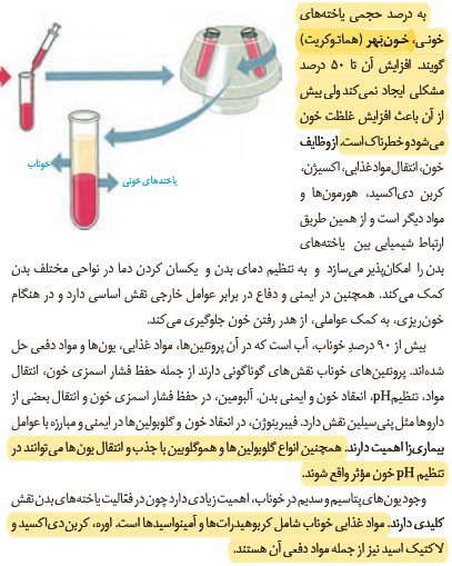 0d2c88a2-fcc3-4fee-baac-09683d12857b-image.png