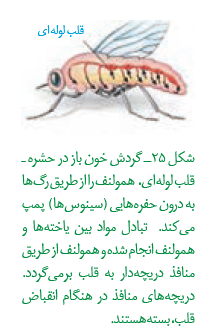 c6f8c3fe-3a82-496e-a1d2-b4515d8cc205-image.png