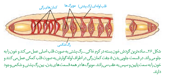 66d97df7-a4a4-4e13-9e3b-70bf87053c0c-image.png