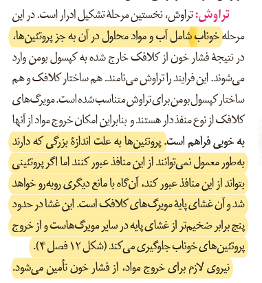 05c58d4d-0955-4bb8-b171-a76efa6c66e9-image.png