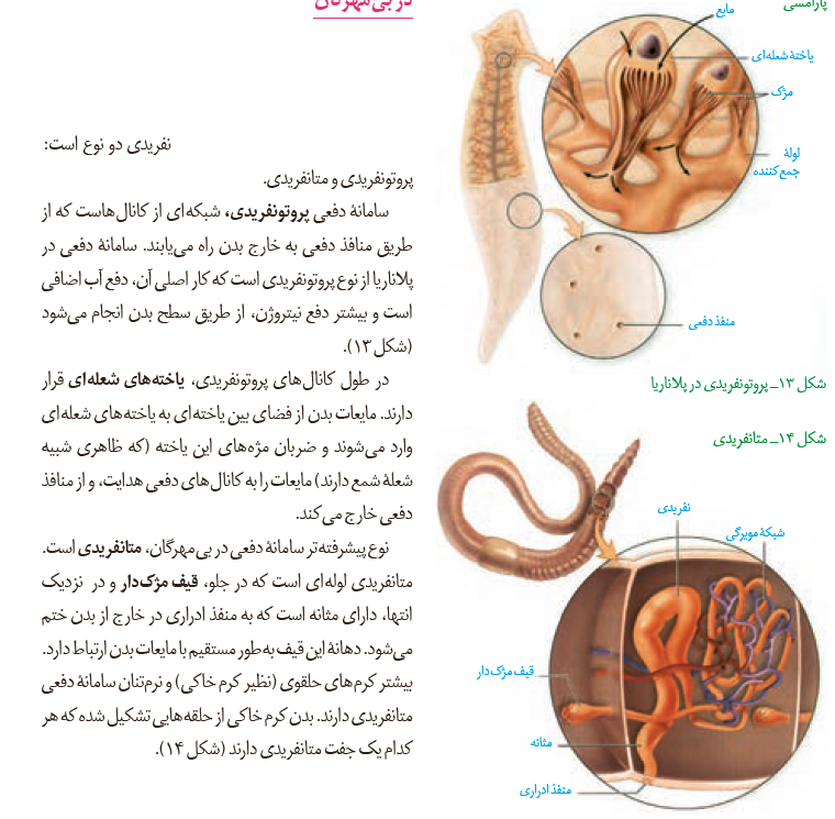 aabef84b-8db5-4f18-b7c1-b8b62e3d231a-image.png