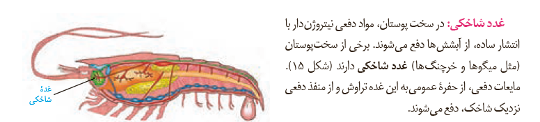 6385433c-8d19-4494-b43b-313976be043d-image.png