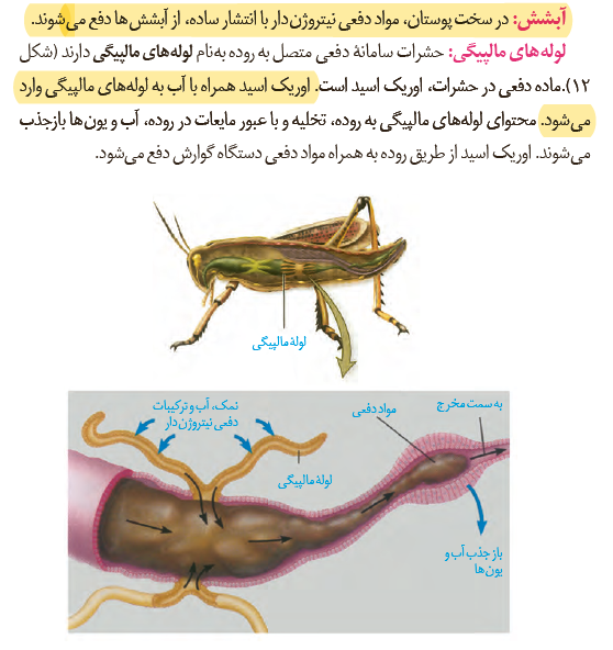 48135072-0cab-4af6-b10c-82b30a1244eb-image.png