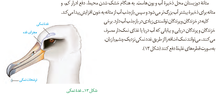 2cb2d7d9-90ce-4396-9e5c-267fe86467b2-image.png