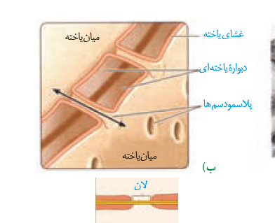 3c782866-c341-412c-9d07-7d1e1cbd1c3c-image.png