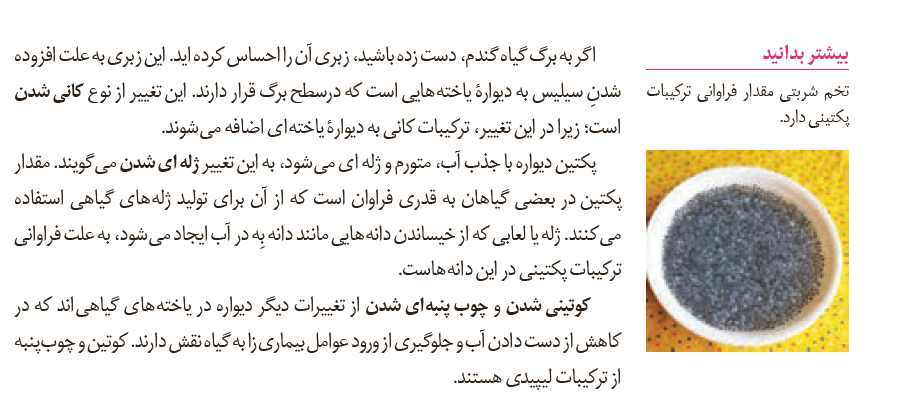 685d1ecb-3f50-40e6-96dd-b2751c16a1c6-image.png
