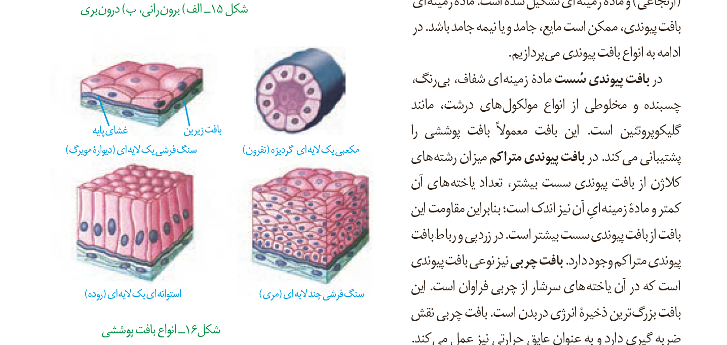 ماده زمينه اي.PNG