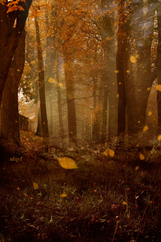 c2639ce32107a93d7d405a5d2eac303d.gif