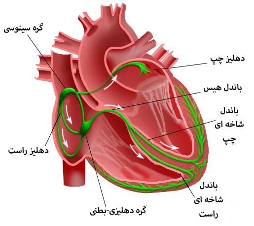 Conduction-1.jpg
