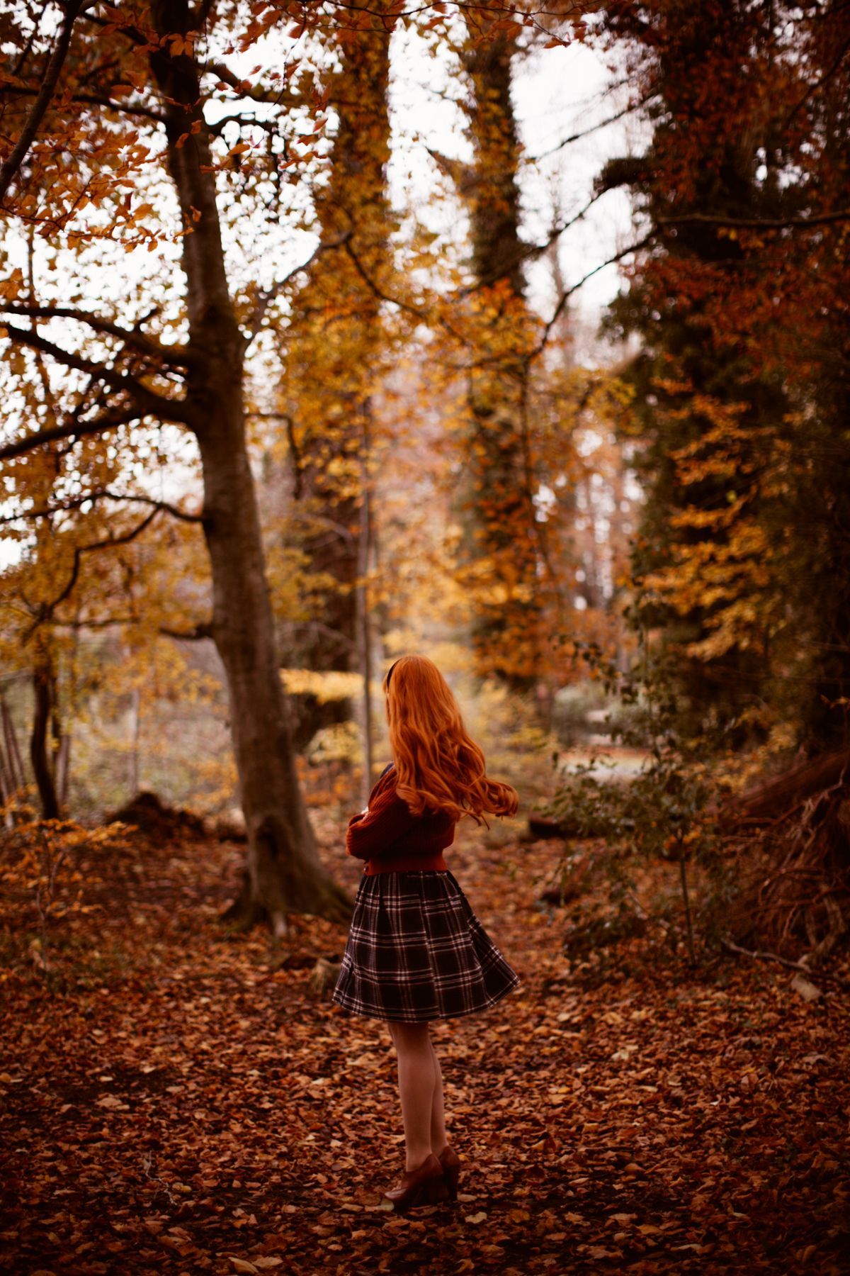 A Classic Plaid Shirtdress in Autumn Woods.jpeg