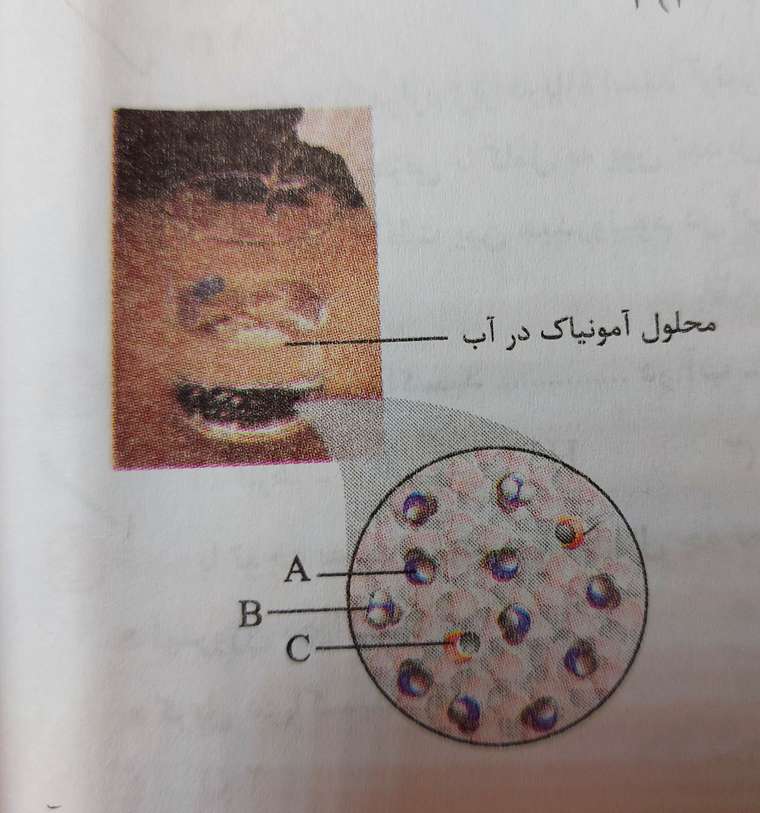 ۲۰۲۱۱۰۰۹_۱۹۴۸۲۱.jpg
