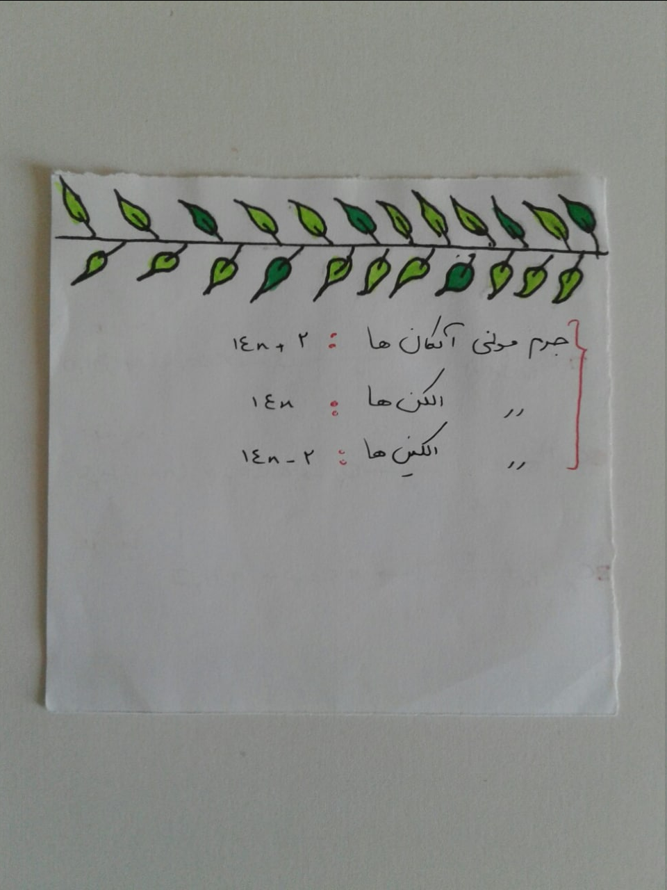 f1fc9daa-d0d2-44e5-8316-cbf80b16b454-image.png