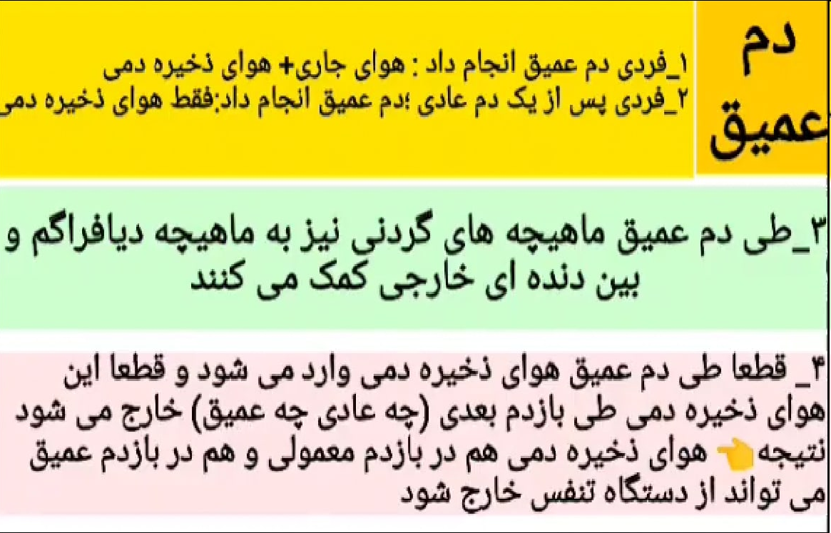 772d9098-fb6c-4af6-9ae3-26bfefe03a6d-image.png