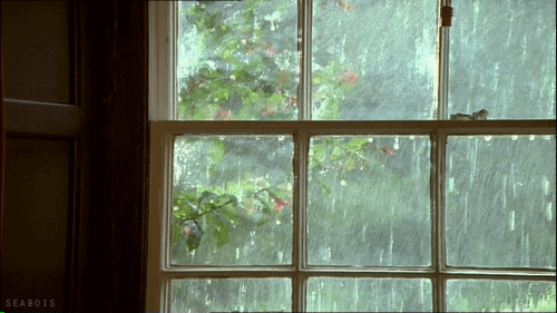 d00c54818dc53bd0026f33ed614808f3.gif