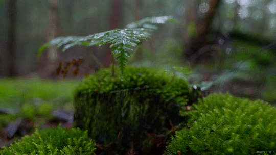 c5514f6213201754ed880c97f8275f8c.gif