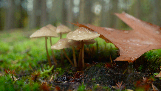 692d7a8c651b991b4b549523717a009b.gif