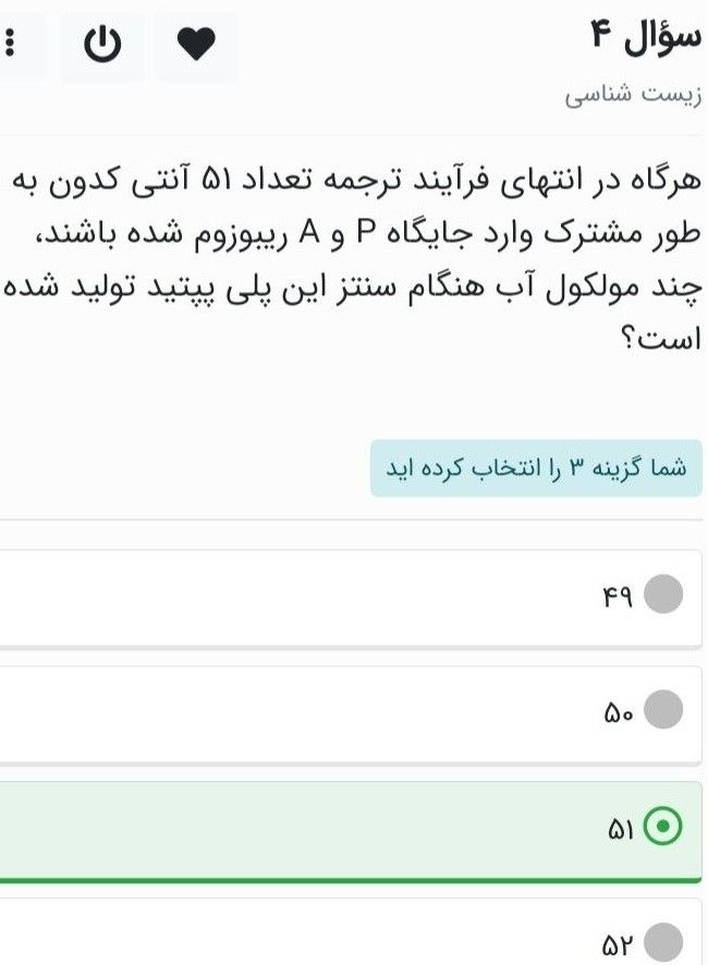 ترجمه.jpg
