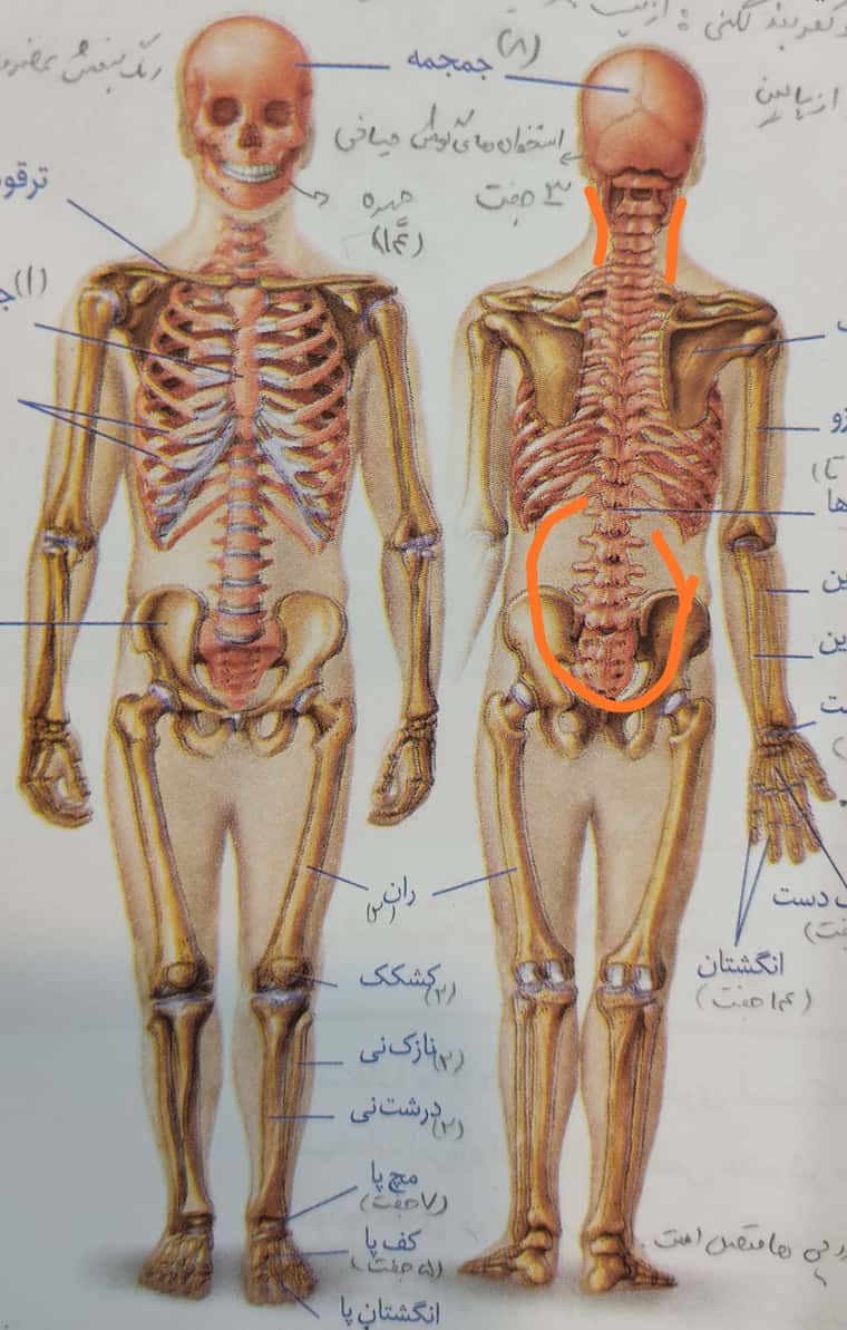 IMG_۲۰۲۱۱۲۰۷_۰۸۴۴۱۲.jpg
