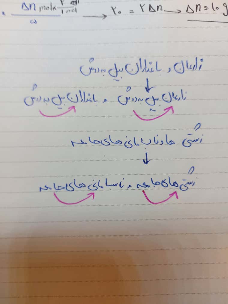 ۲۰۲۱۱۲۱۸_۲۲۳۴۴۳.jpg