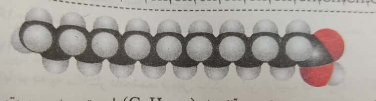 ۲۰۲۲۰۱۰۴_۰۹۰۲۴۹.jpg
