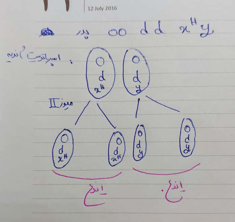 ۲۰۲۲۰۱۰۵_۱۶۰۴۱۴.jpg