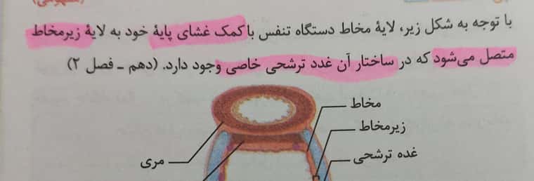 ۲۰۲۲۰۱۱۵_۰۸۳۰۰۴.jpg