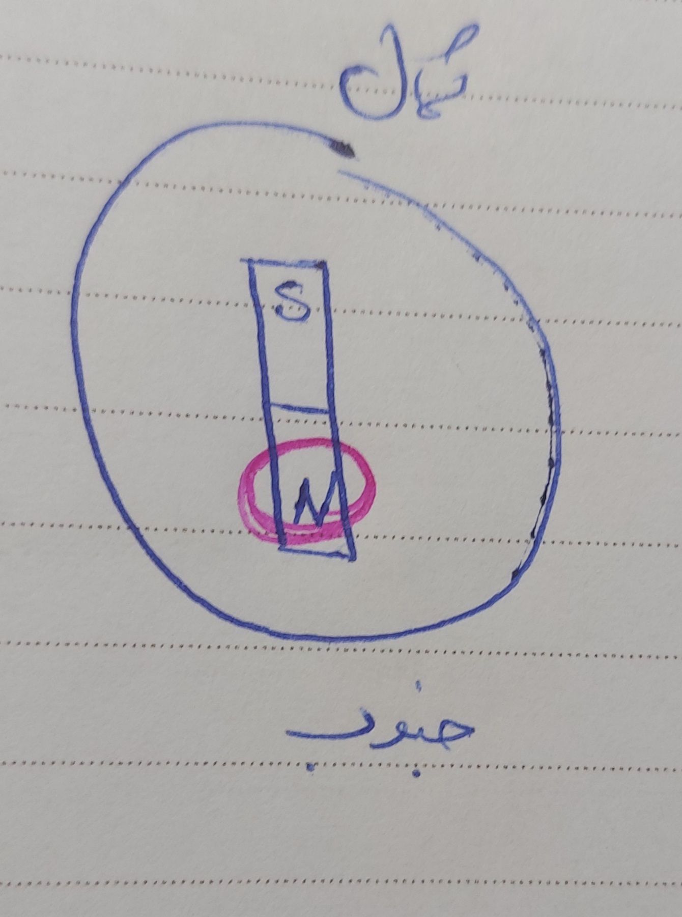 ۲۰۲۲۰۱۲۴_۲۱۵۰۱۹.jpg