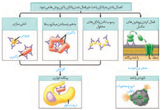 b999a5e7-439e-42df-a024-fd87b862a6df-image.png