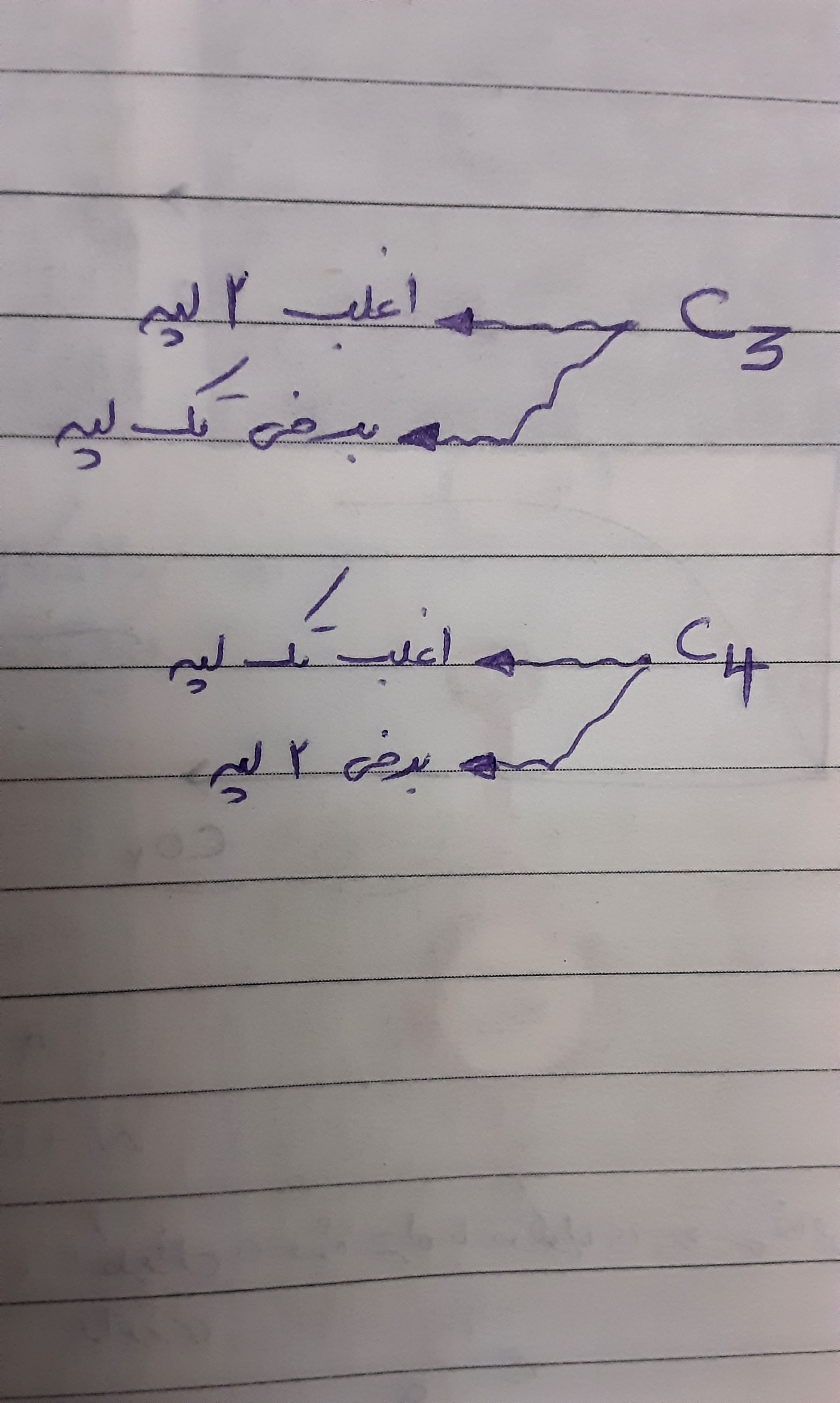 JPEG_۲۰۲۲۰۲۱۲_۱۸۱۴۳۸_8273602883255641676.jpg