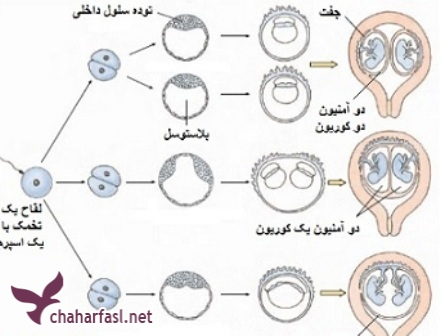 879459cd-9ea8-4261-9b77-1c4b04662dd9-image.png